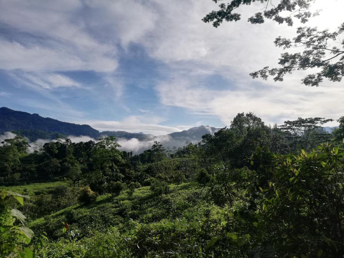 Sunil'S Homestay Sinharaja Kalawana 외부 사진