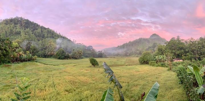 Sunil'S Homestay Sinharaja Kalawana 외부 사진
